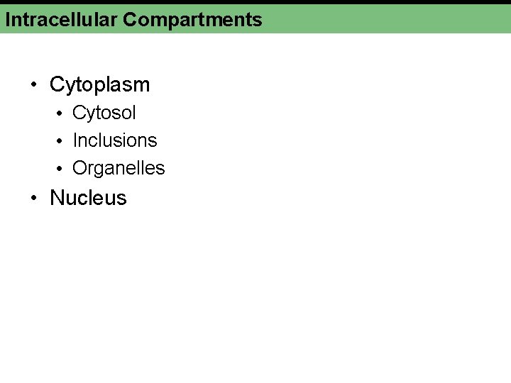 Intracellular Compartments • Cytoplasm • Cytosol • Inclusions • Organelles • Nucleus 