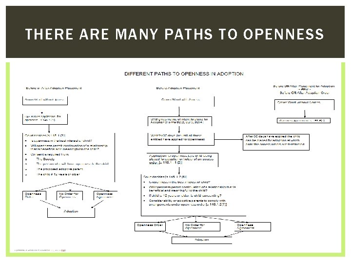 THERE ARE MANY PATHS TO OPENNESS 