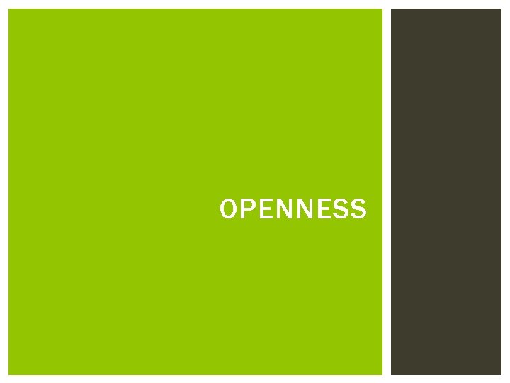 OPENNESS 