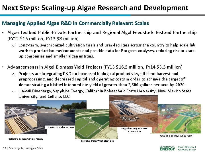 Next Steps: Scaling-up Algae Research and Development Managing Applied Algae R&D in Commercially Relevant