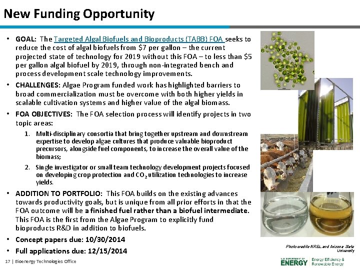 New Funding Opportunity • GOAL: The Targeted Algal Biofuels and Bioproducts (TABB) FOA seeks