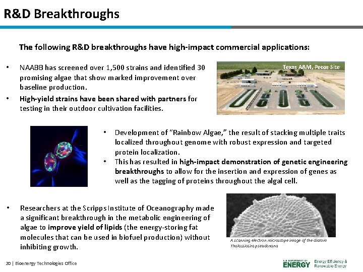 R&D Breakthroughs Texas A&M, Pecos Site The following R&D breakthroughs have high-impact commercial applications: