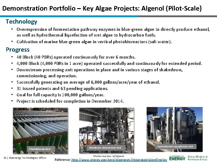 Demonstration Portfolio – Key Algae Projects: Algenol (Pilot-Scale) Technology • Overexpression of fermentation pathway