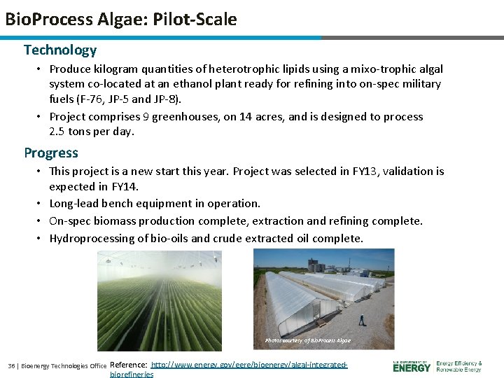 Bio. Process Algae: Pilot-Scale Technology • Produce kilogram quantities of heterotrophic lipids using a