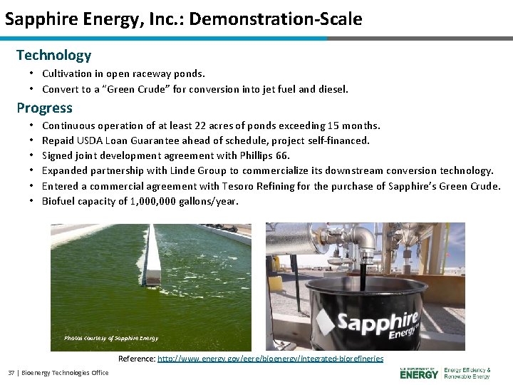 Sapphire Energy, Inc. : Demonstration-Scale Technology • Cultivation in open raceway ponds. • Convert