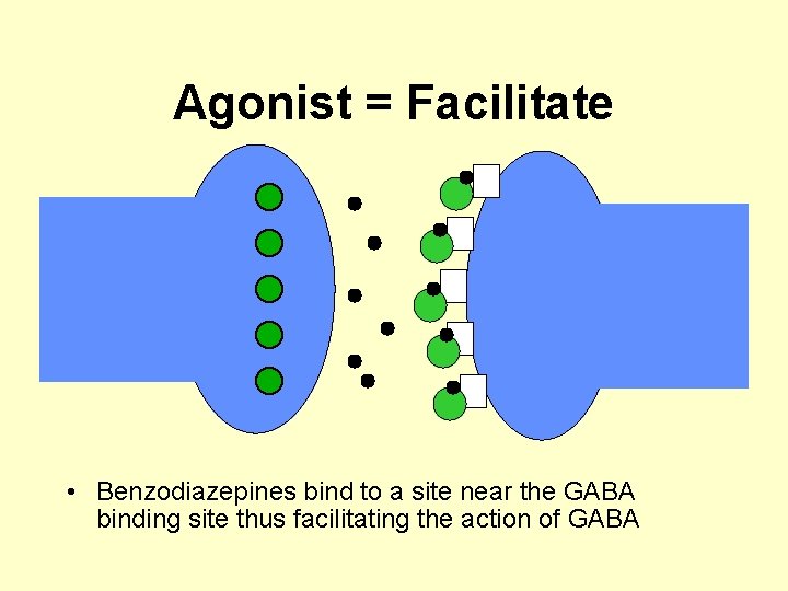 Agonist = Facilitate • Benzodiazepines bind to a site near the GABA binding site