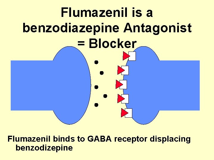 Flumazenil is a benzodiazepine Antagonist = Blocker Flumazenil binds to GABA receptor displacing benzodizepine