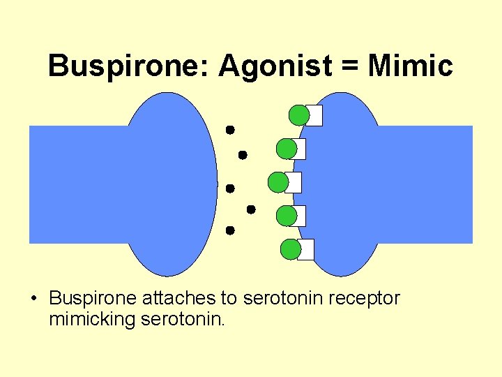 Buspirone: Agonist = Mimic • Buspirone attaches to serotonin receptor mimicking serotonin. 