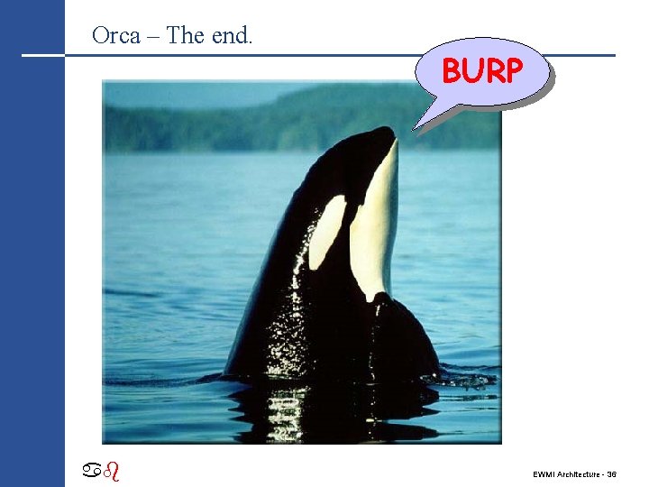 Orca – The end. ab BURP EWMI Architecture - 36 