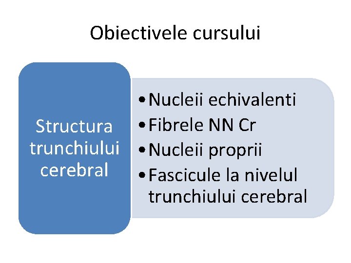 Obiectivele cursului • Nucleii echivalenti Structura • Fibrele NN Cr trunchiului • Nucleii proprii