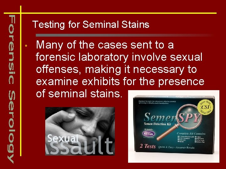 Testing for Seminal Stains • Many of the cases sent to a forensic laboratory