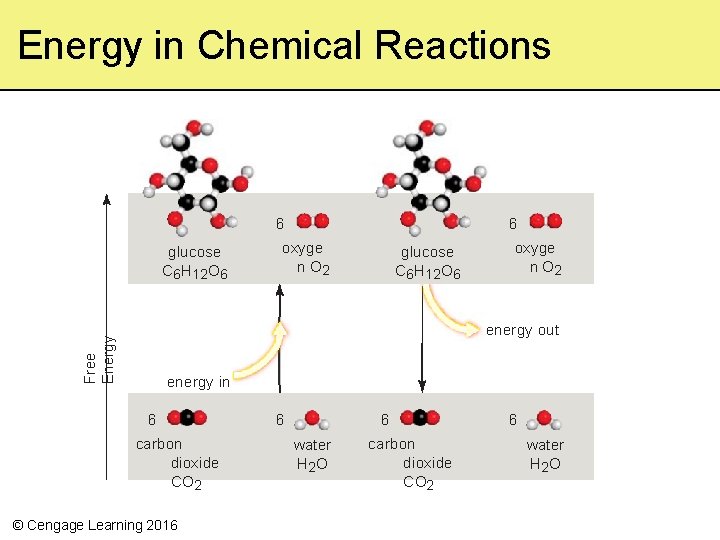 Energy in Chemical Reactions 6 glucose C 6 H 12 O 6 6 oxyge