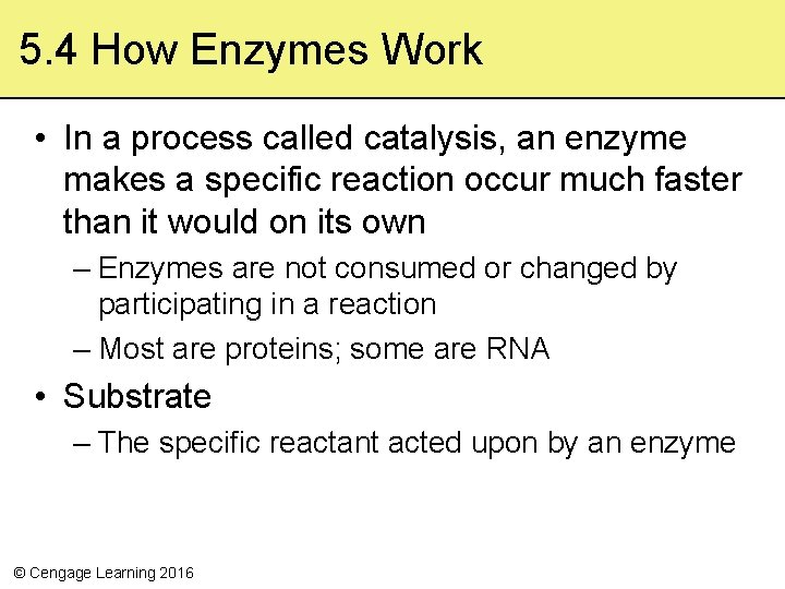 5. 4 How Enzymes Work • In a process called catalysis, an enzyme makes