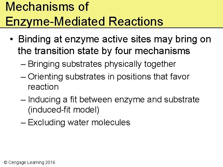 Mechanisms of Enzyme-Mediated Reactions • Binding at enzyme active sites may bring on the
