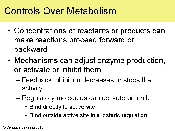 Controls Over Metabolism • Concentrations of reactants or products can make reactions proceed forward