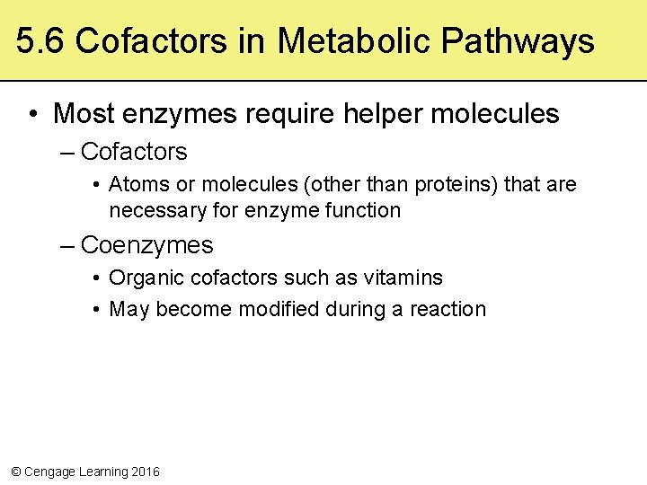5. 6 Cofactors in Metabolic Pathways • Most enzymes require helper molecules – Cofactors
