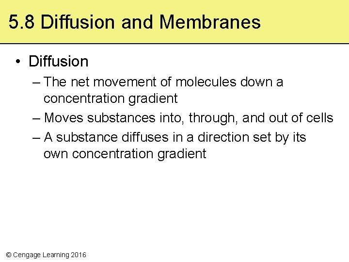 5. 8 Diffusion and Membranes • Diffusion – The net movement of molecules down
