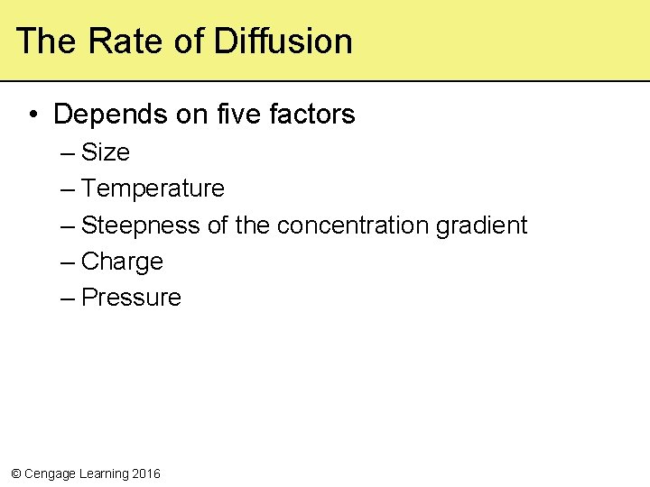 The Rate of Diffusion • Depends on five factors – Size – Temperature –