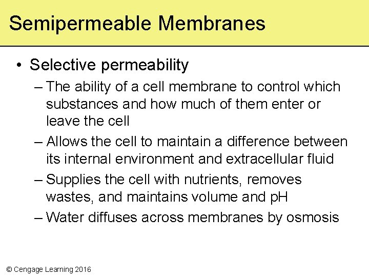 Semipermeable Membranes • Selective permeability – The ability of a cell membrane to control