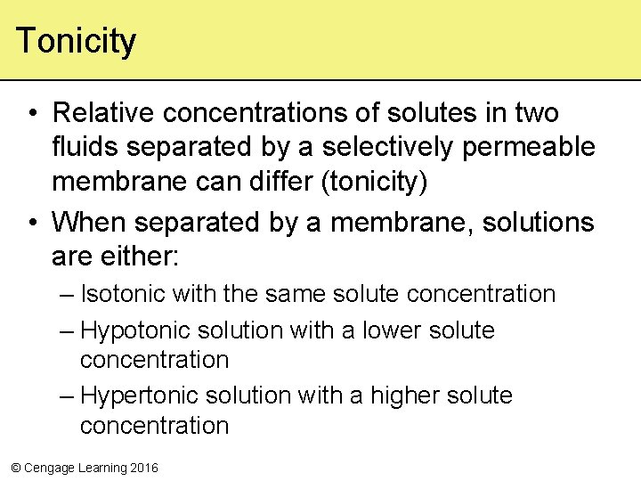 Tonicity • Relative concentrations of solutes in two fluids separated by a selectively permeable