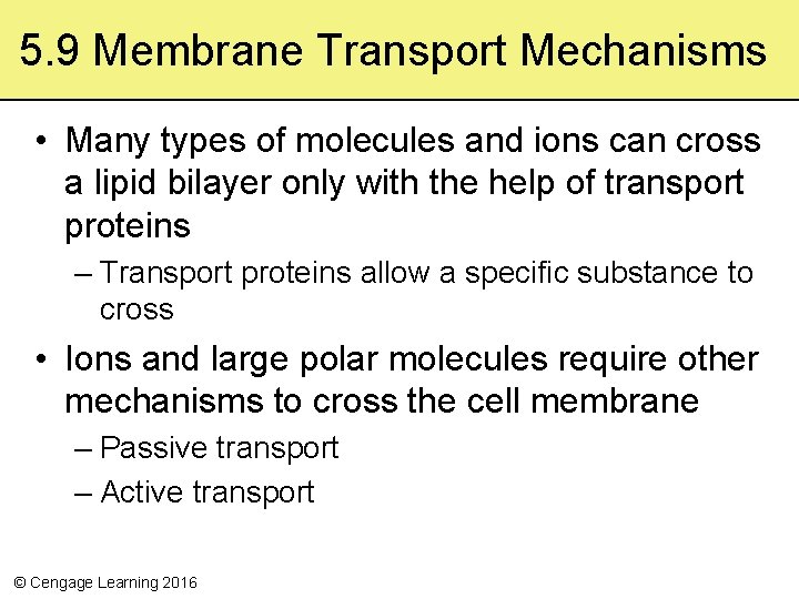 5. 9 Membrane Transport Mechanisms • Many types of molecules and ions can cross