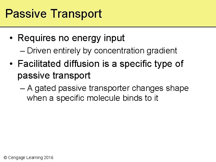 Passive Transport • Requires no energy input – Driven entirely by concentration gradient •