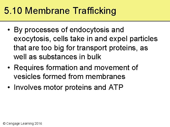 5. 10 Membrane Trafficking • By processes of endocytosis and exocytosis, cells take in
