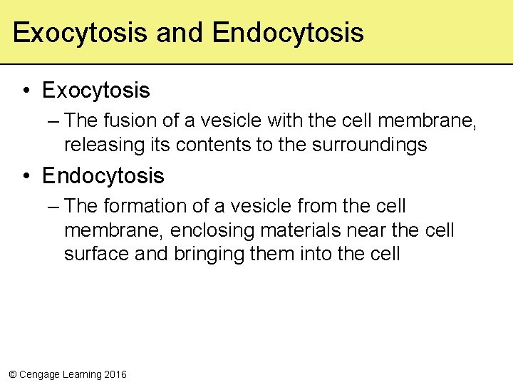 Exocytosis and Endocytosis • Exocytosis – The fusion of a vesicle with the cell