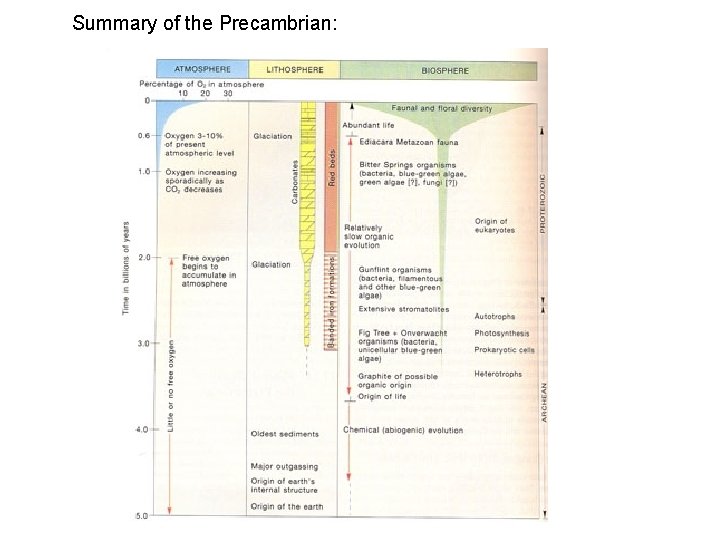 Summary of the Precambrian: 