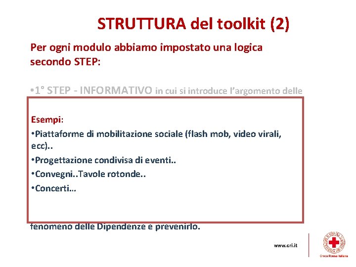 STRUTTURA del toolkit (2) Per ogni modulo abbiamo impostato una logica secondo STEP: •