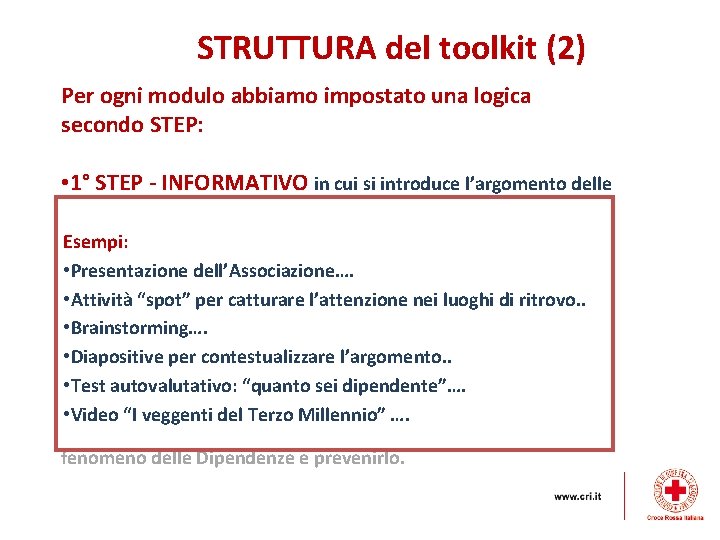 STRUTTURA del toolkit (2) Per ogni modulo abbiamo impostato una logica secondo STEP: •