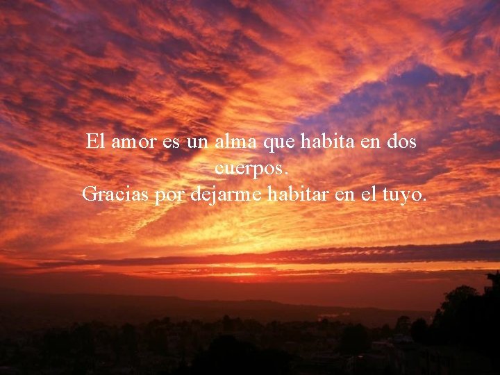 El amor es un alma que habita en dos cuerpos. Gracias por dejarme habitar