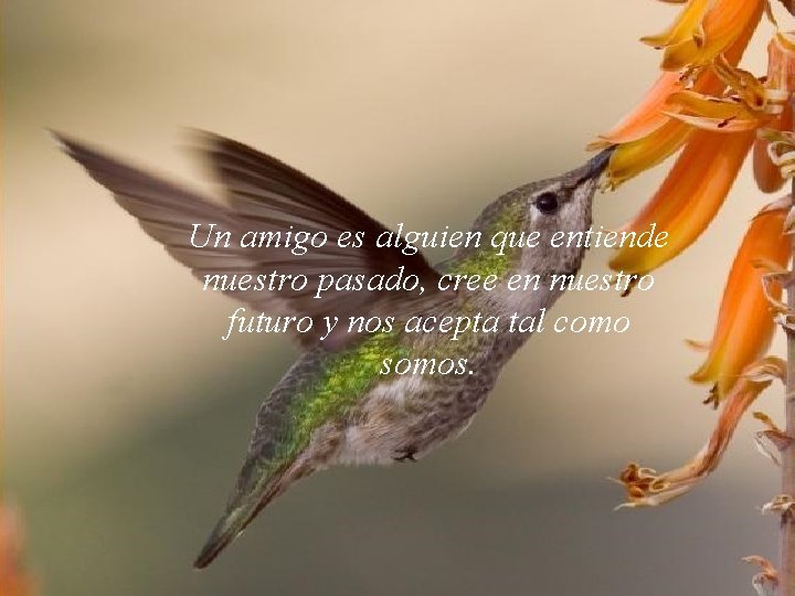 Un amigo es alguien que entiende nuestro pasado, cree en nuestro futuro y nos
