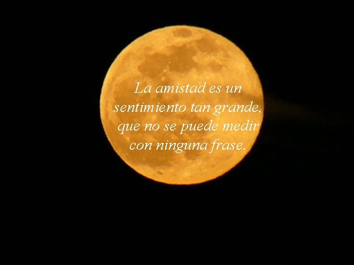 La amistad es un sentimiento tan grande, que no se puede medir con ninguna