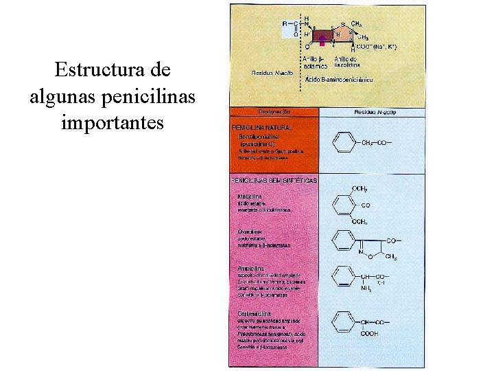 Estructura de algunas penicilinas importantes 