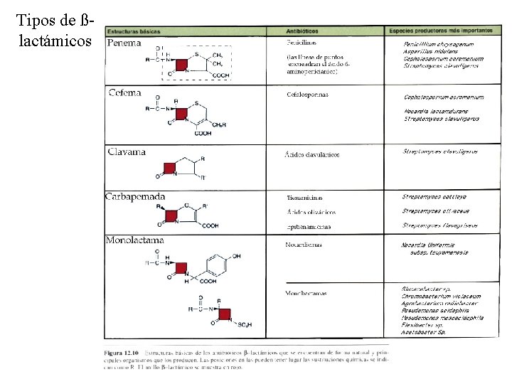 Tipos de ßlactámicos 