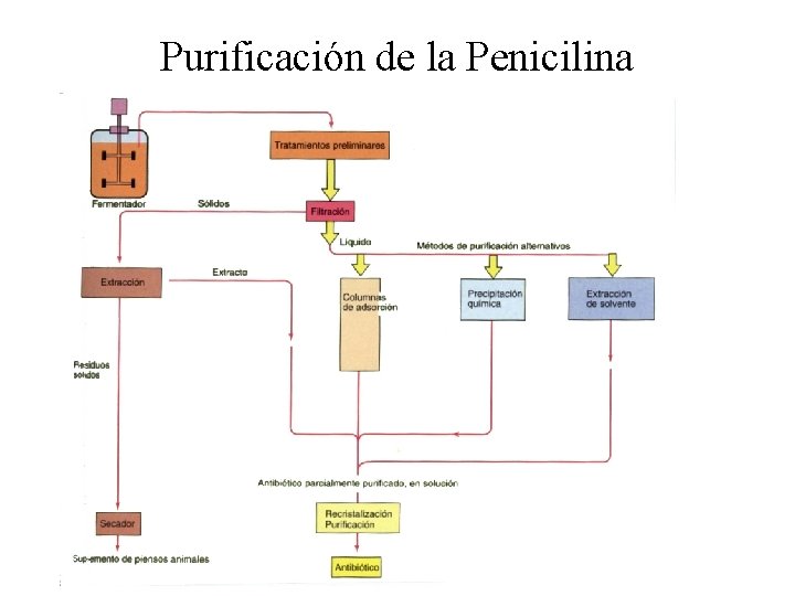 Purificación de la Penicilina 