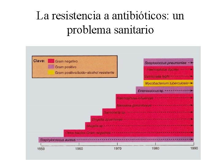 La resistencia a antibióticos: un problema sanitario 