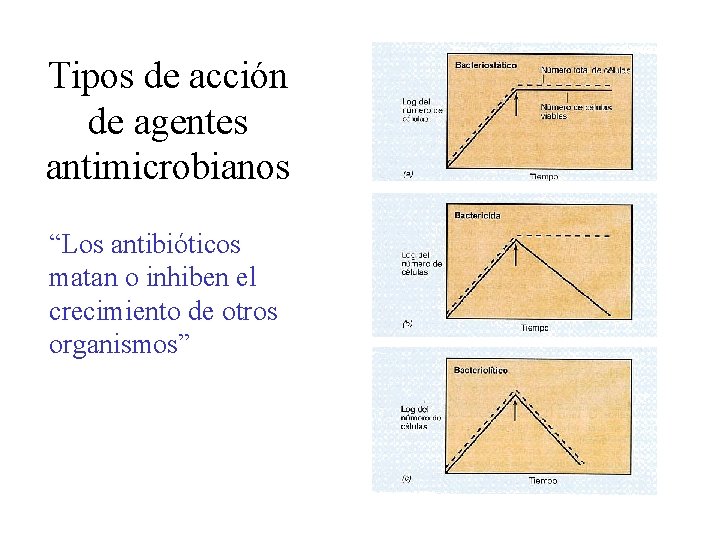 Tipos de acción de agentes antimicrobianos “Los antibióticos matan o inhiben el crecimiento de