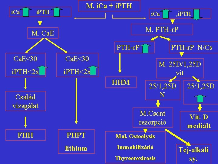 i. Ca i. PTH M. i. Ca + i. PTH i. Ca M. PTH-r.