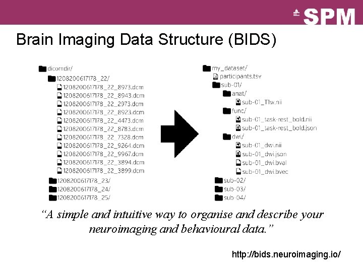 Brain Imaging Data Structure (BIDS) “A simple and intuitive way to organise and describe