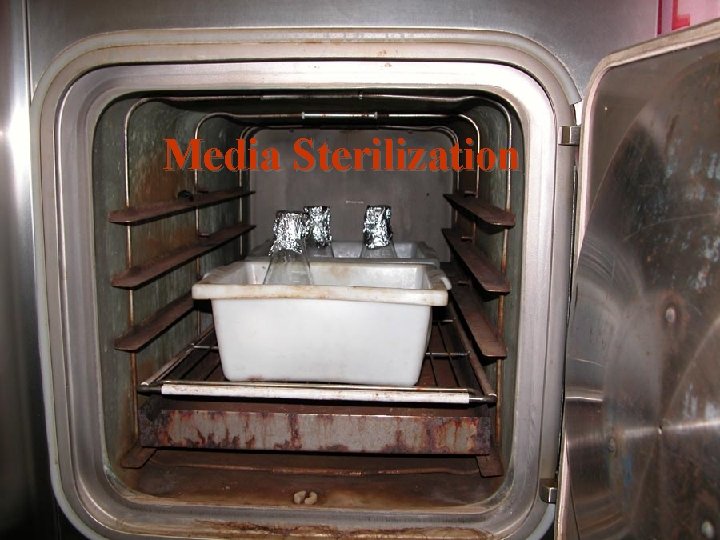Media Sterilization 