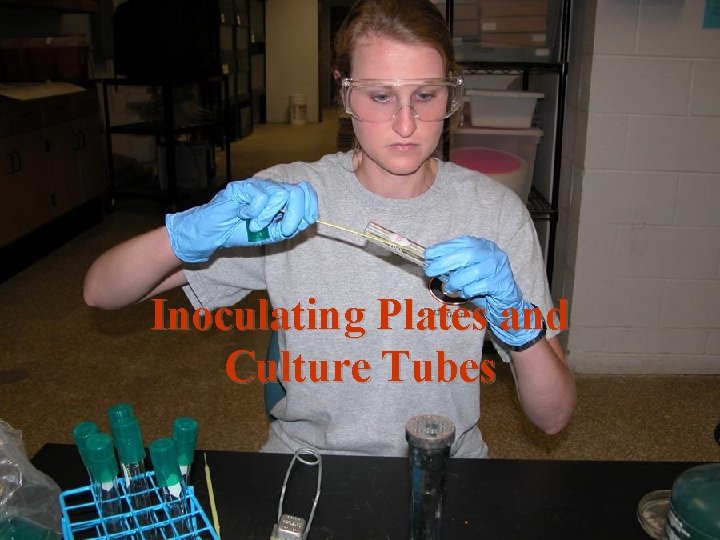 Inoculating Plates and Culture Tubes 