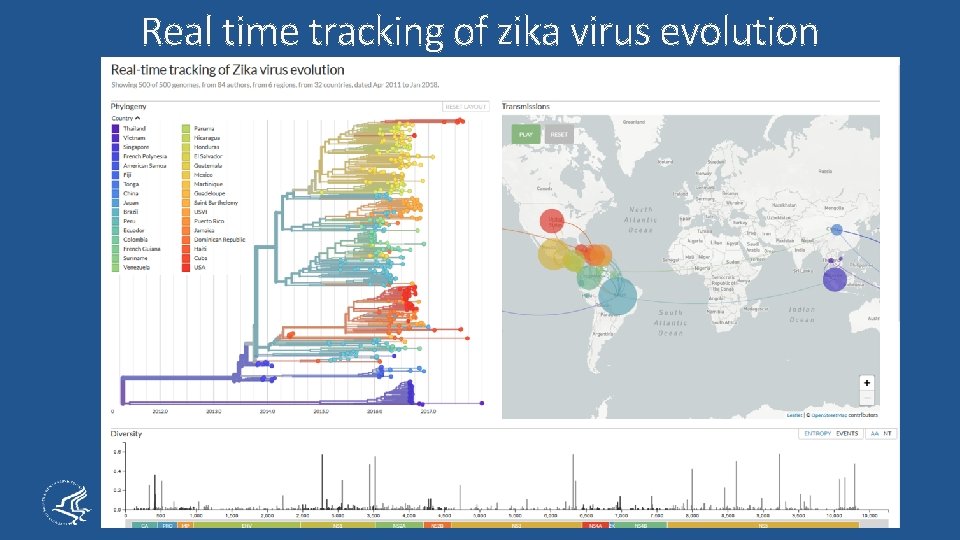 Real time tracking of zika virus evolution 