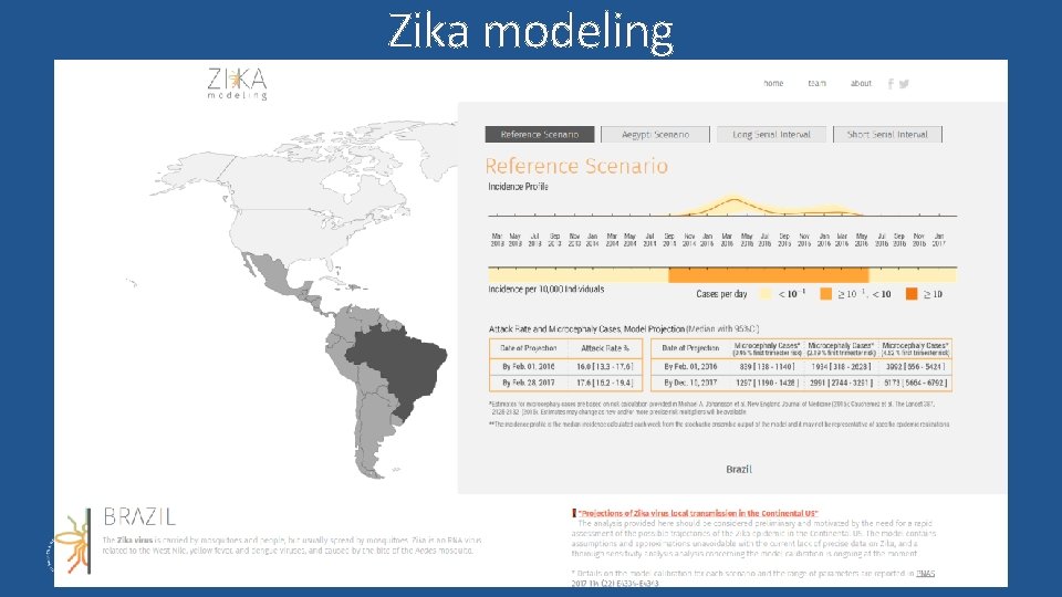 Zika modeling 