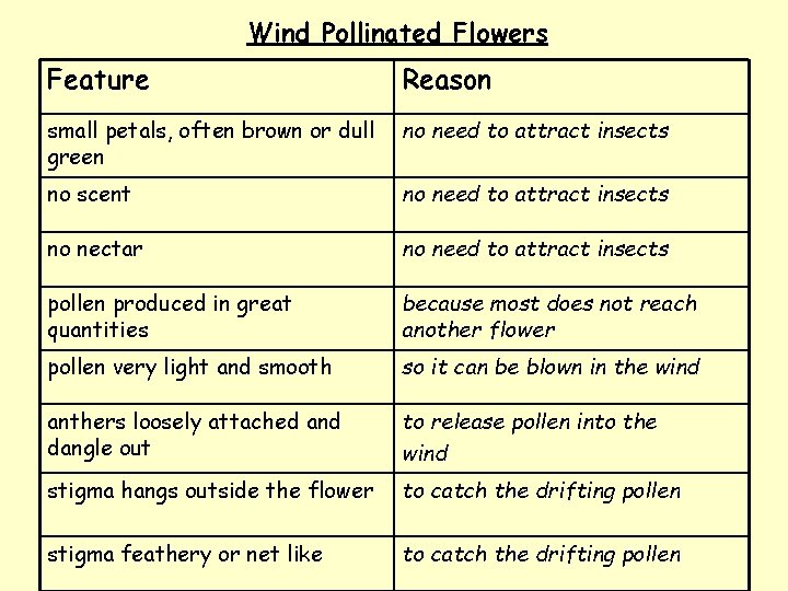 Wind Pollinated Flowers Feature Reason small petals, often brown or dull green no need
