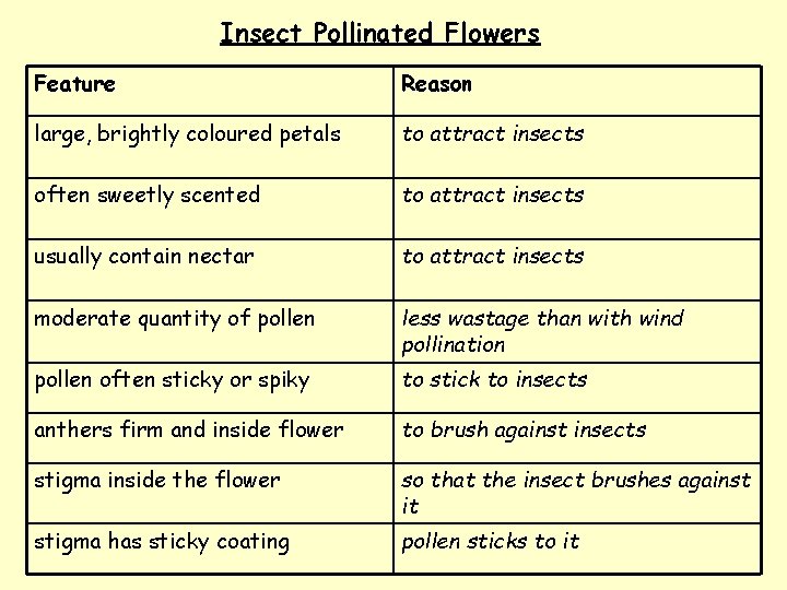Insect Pollinated Flowers Feature Reason large, brightly coloured petals to attract insects often sweetly