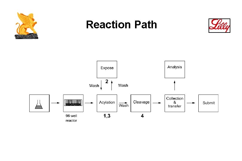 Reaction Path 