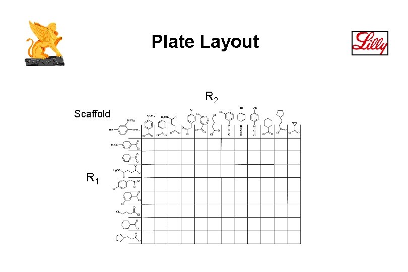 Plate Layout R 2 Scaffold R 1 
