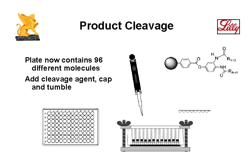 Product Cleavage Plate now contains 96 different molecules Add cleavage agent, cap and tumble